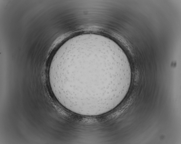 X0000097610978200803281010