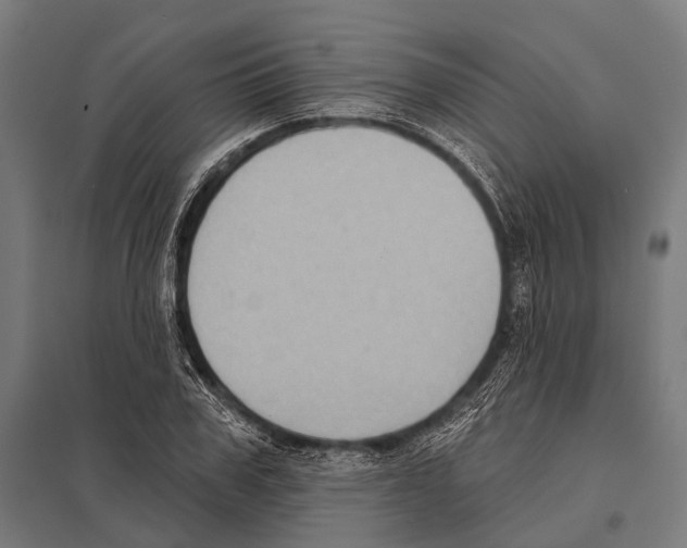 X0000097610979200803281010