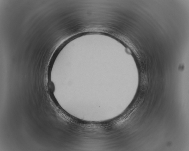 X0000097610980200803281010