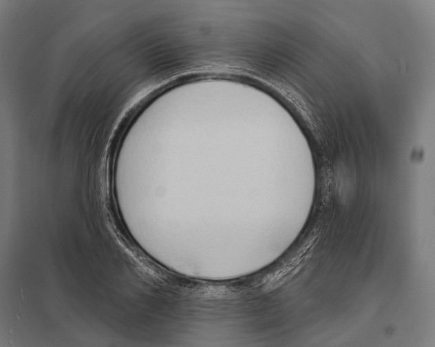 X0000097610982200803281010