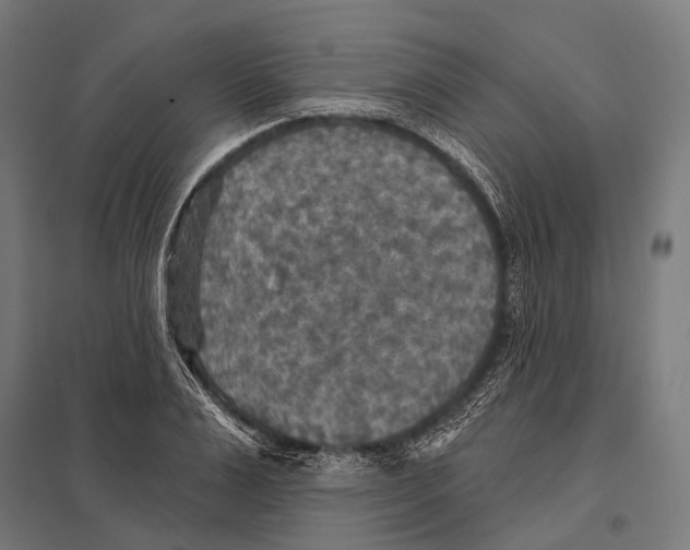 X0000097610983200803281010