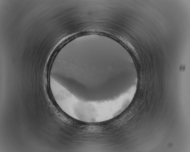 X0000097610984200803281010