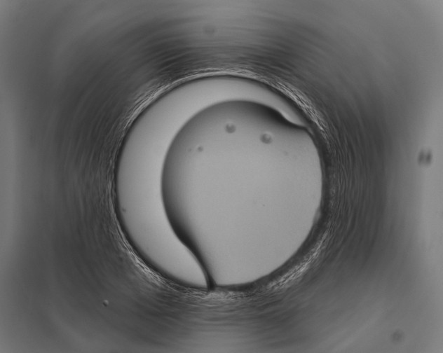 X0000097610985200803281010