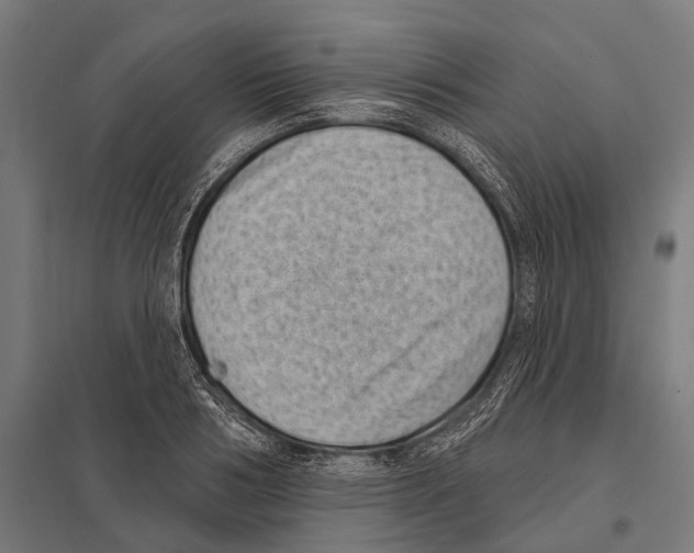 X0000097610986200803281010