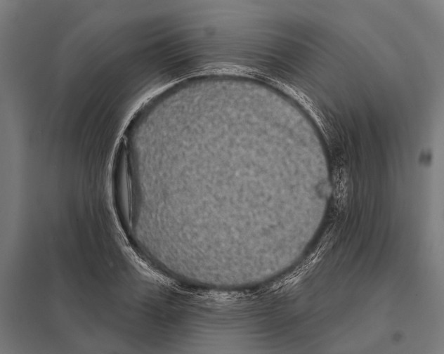 X0000097610987200803281010