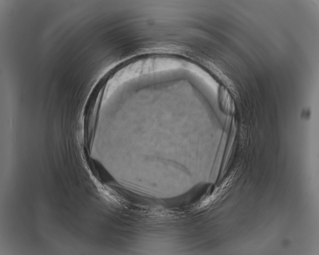 X0000097610988200803281010