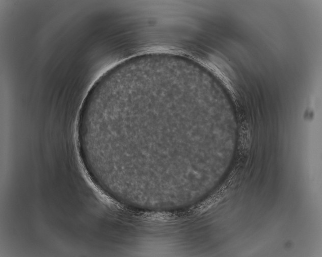 X0000097610991200803281010