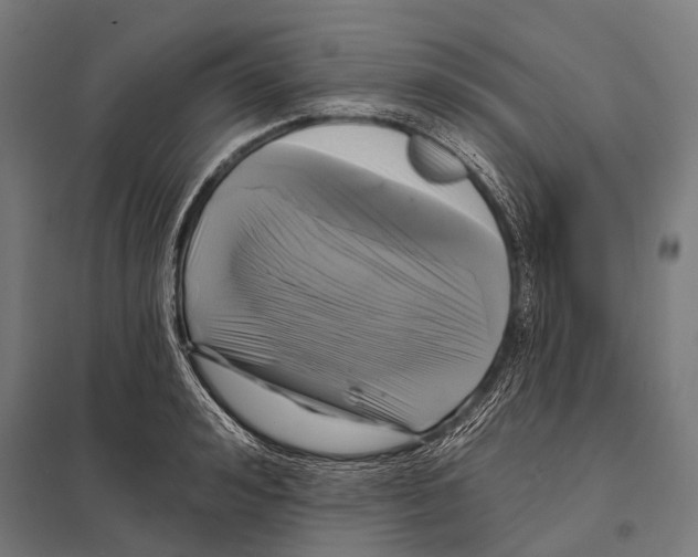 X0000097610992200803281010