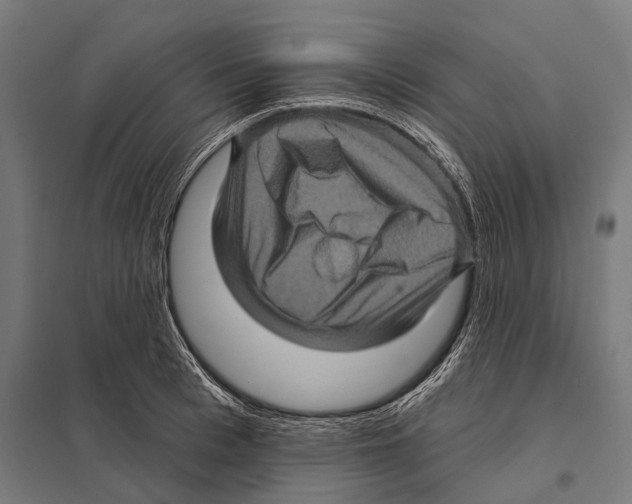 X0000097610993200803281010