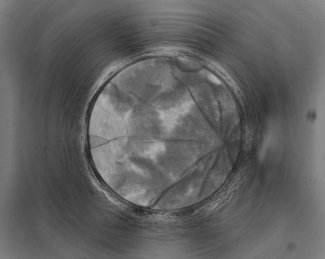 X0000097610994200803281010