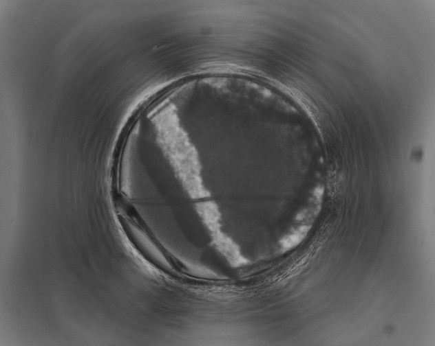 X0000097610995200803281010