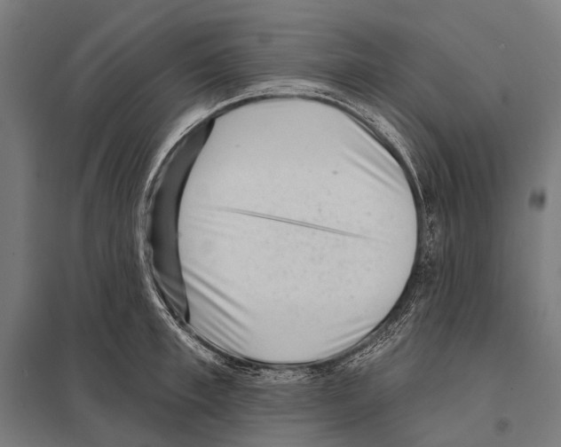 X0000097610997200803281010