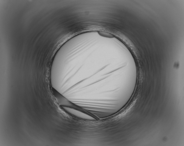 X0000097611001200803281009