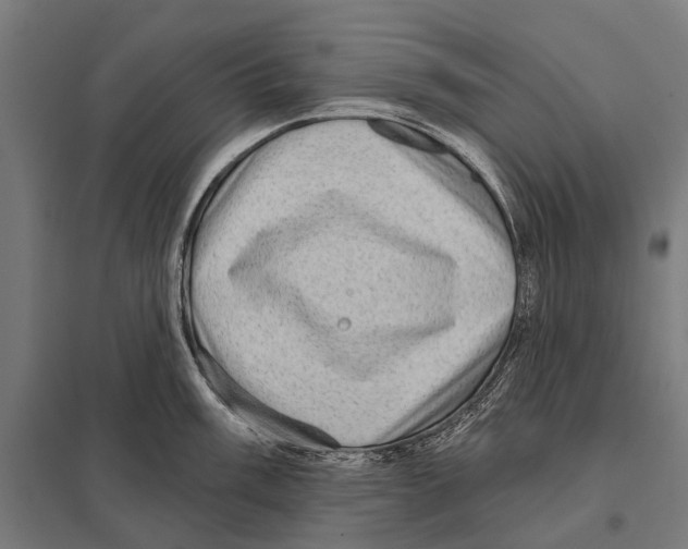 X0000097611003200803281009