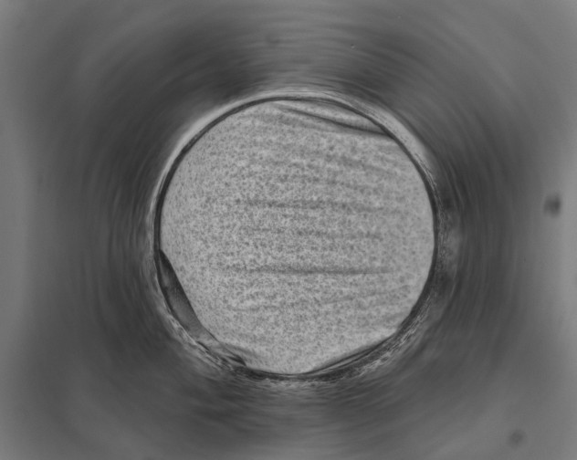 X0000097611004200803281009