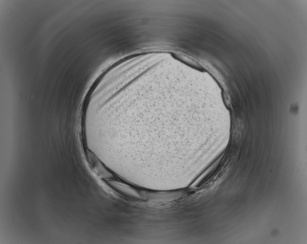 X0000097611005200803281009