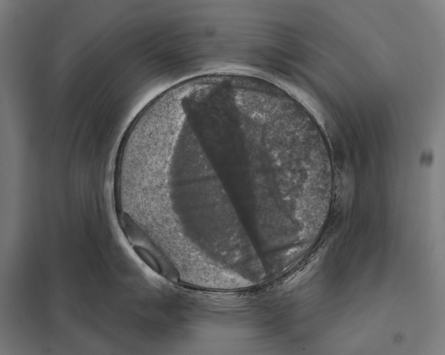 X0000097611007200803281009