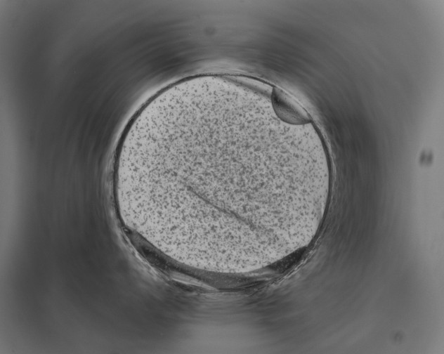 X0000097611008200803281009