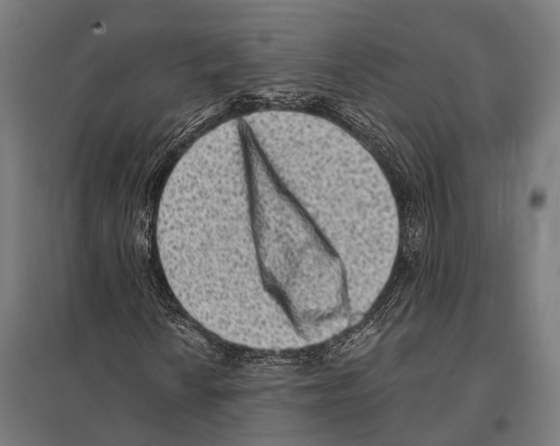 X0000097611010200803281009