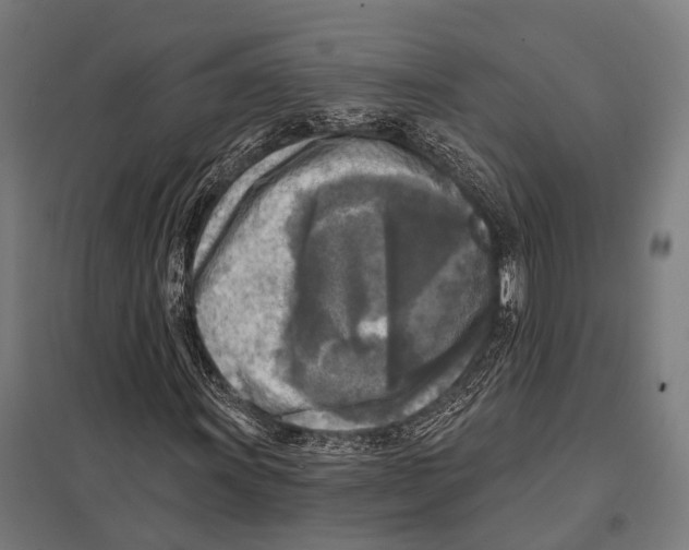 X0000097611011200803281009