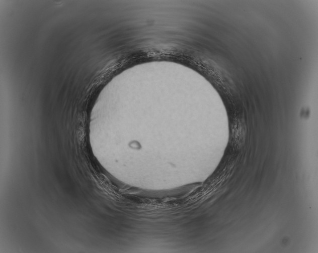 X0000097611012200803281009