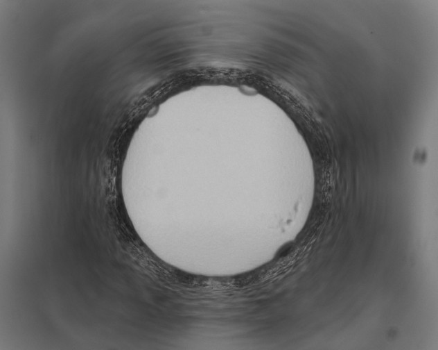 X0000097611013200803281009