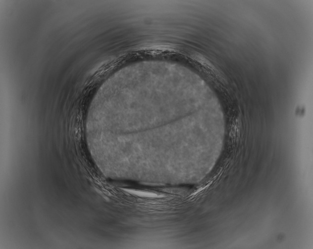 X0000097611014200803281009