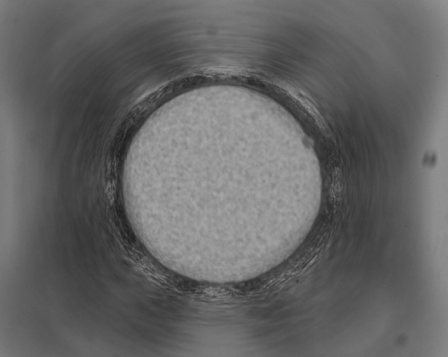 X0000097611015200803281009