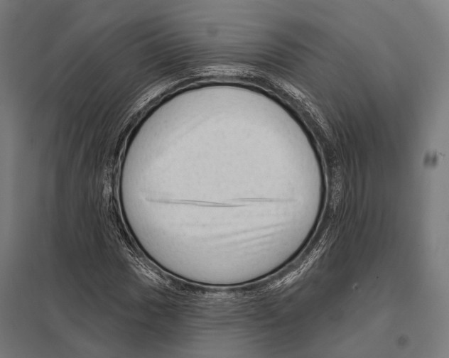 X0000097611017200803281009