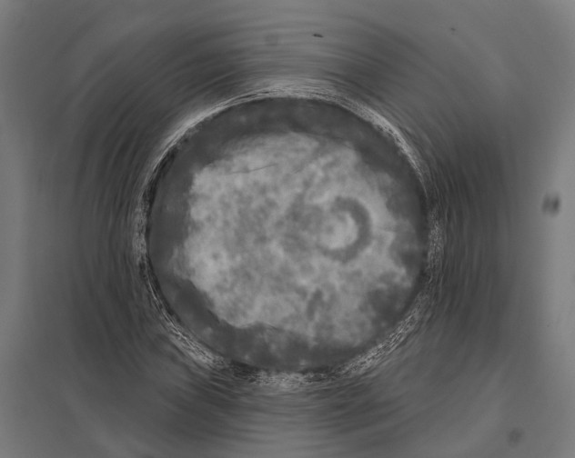 X0000097611019200803281009