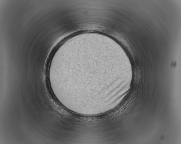 X0000097611020200803281009