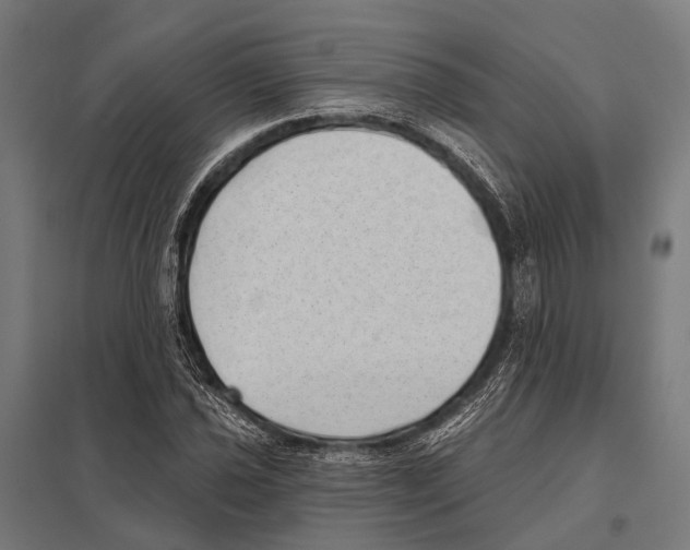 X0000097611021200803281009