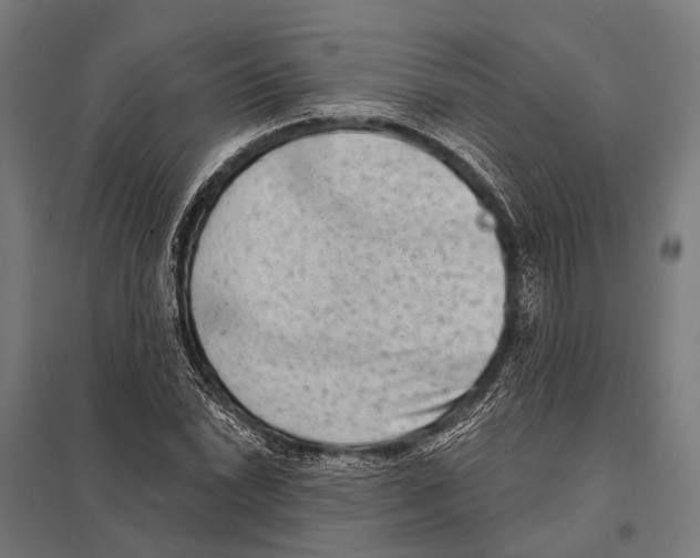 X0000097611022200803281009