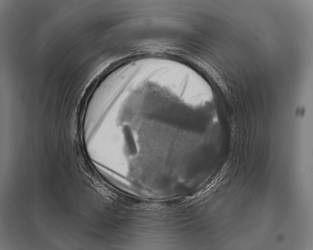 X0000097611023200803281009