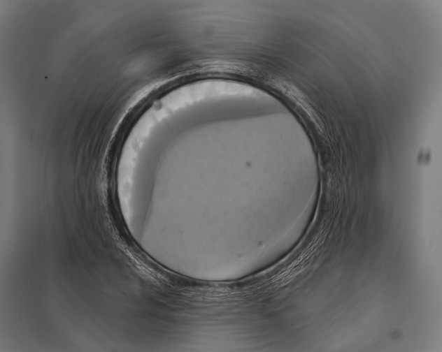 X0000097611024200803281009