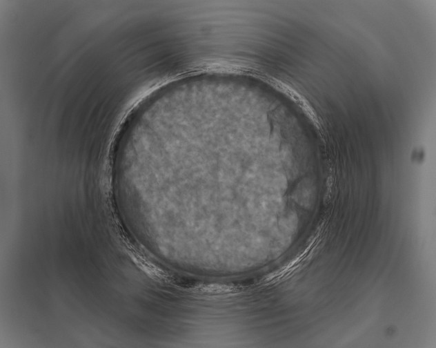 X0000097611027200803281009