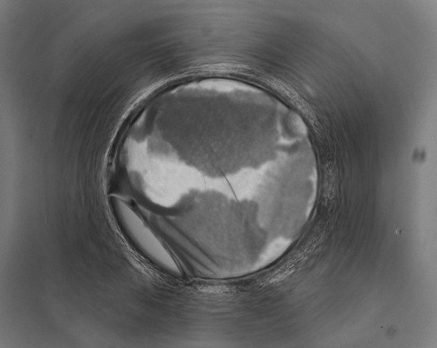 X0000097611031200803281009