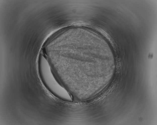 X0000097611032200803281009