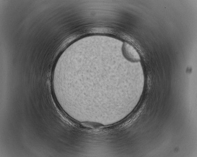 X0000097611033200803281009