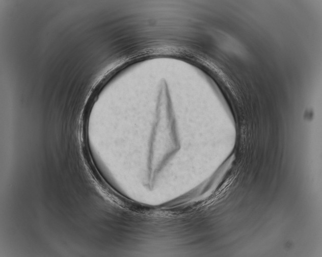 X0000097611034200803281009