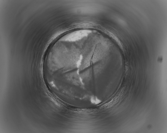 X0000097611035200803281009