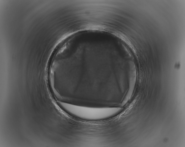 X0000097611037200803281009