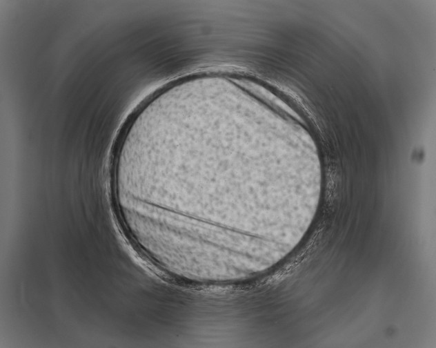 X0000097611038200803281009