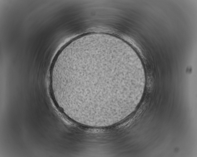 X0000097611040200803281009