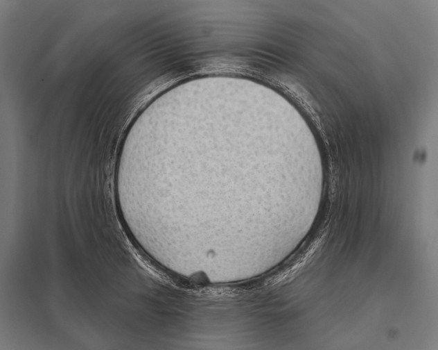 X0000097611041200803281009