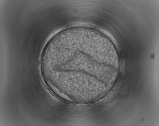 X0000097611043200803281009