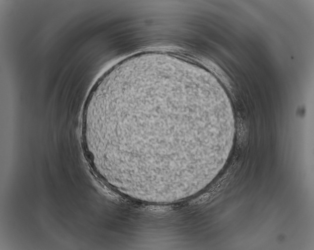 X0000097611044200803281009