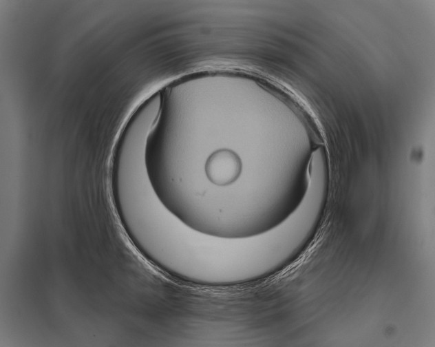 X0000097611045200803281009