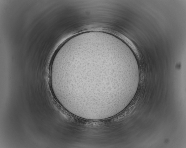 X0000097611051200803281009