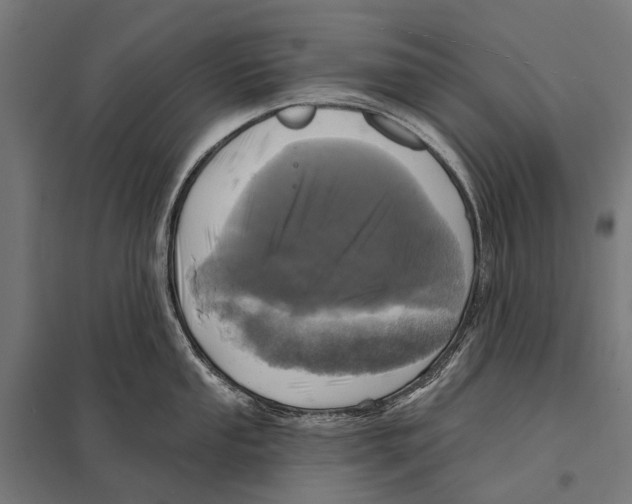 X0000097611053200803281009